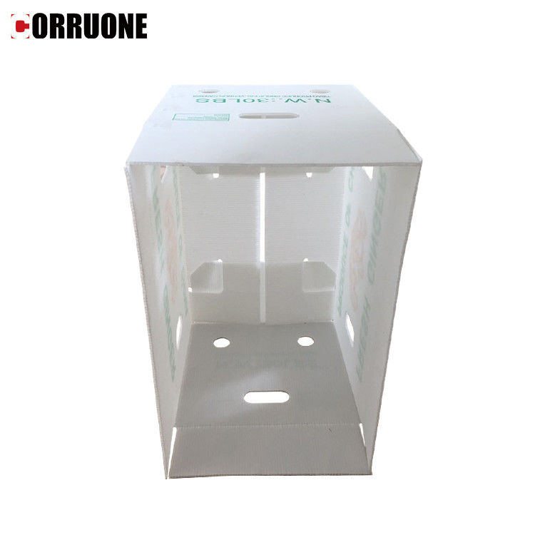 3.5mm Mango Corrugated Box Cartonplast Corrugated Boxes For Fruit Packaging