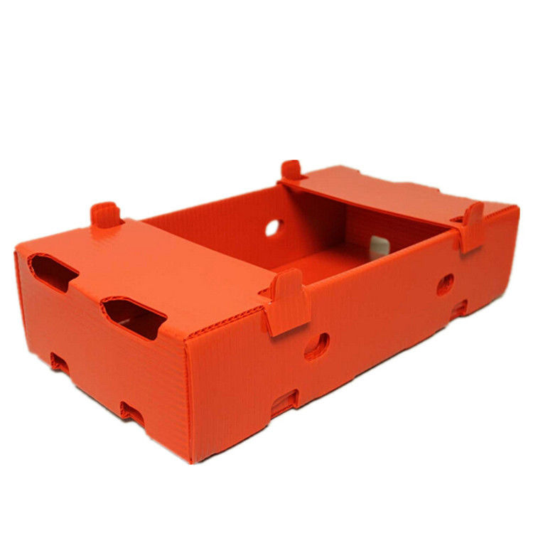Corruone polypropylene Wholesale waterproof PP corrugated plastic box fruit vegetable foldable PP plastic box
