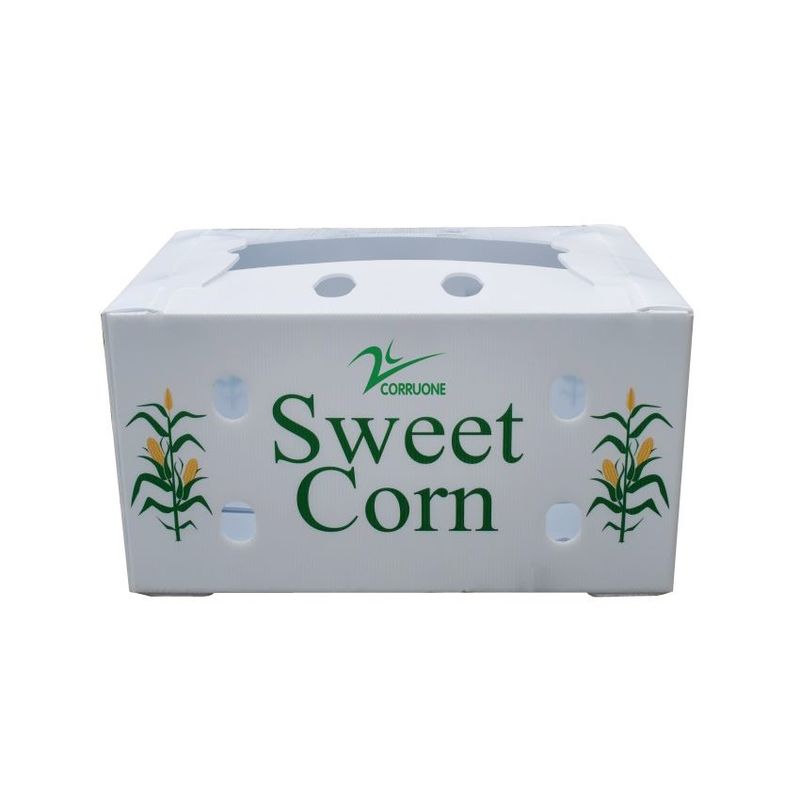 Corruone polypropylene Wholesale waterproof PP corrugated plastic box fruit vegetable foldable PP plastic box