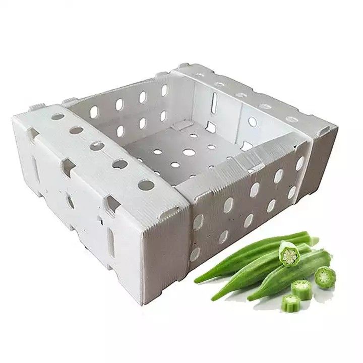 Corruone China Manufacturer PP polypropylene Material Correx Coreflute Boxes Corrugated Plastic Folding fruits vegetables Boxes