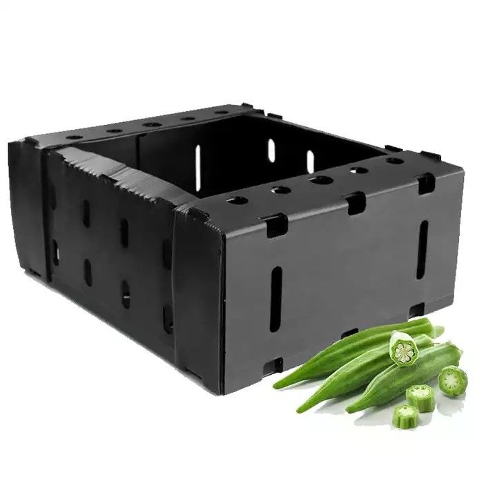 Corruone China Manufacturer PP polypropylene Material Correx Coreflute Boxes Corrugated Plastic Folding fruits vegetables Boxes