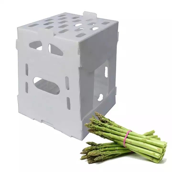 Corruone China Manufacturer PP polypropylene Material Correx Coreflute Boxes Corrugated Plastic Folding fruits vegetables Boxes