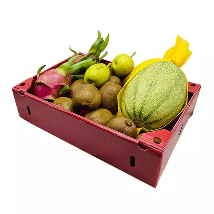 Corruone China Manufacturer PP polypropylene Material Correx Coreflute Boxes Corrugated Plastic Folding fruits vegetables Boxes