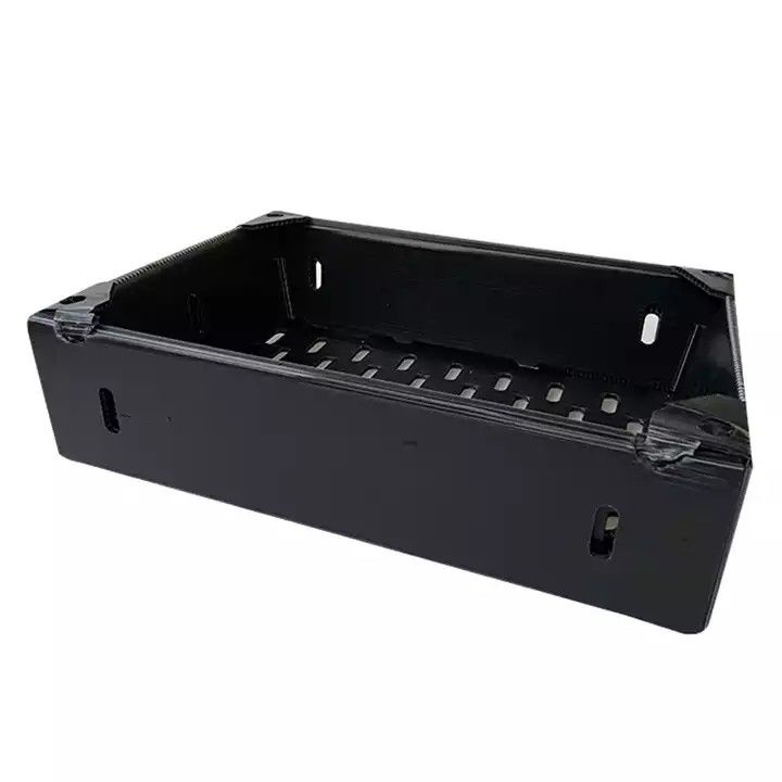 Corruone China Manufacturer PP polypropylene Material Correx Coreflute Boxes Corrugated Plastic Folding fruits vegetables Boxes
