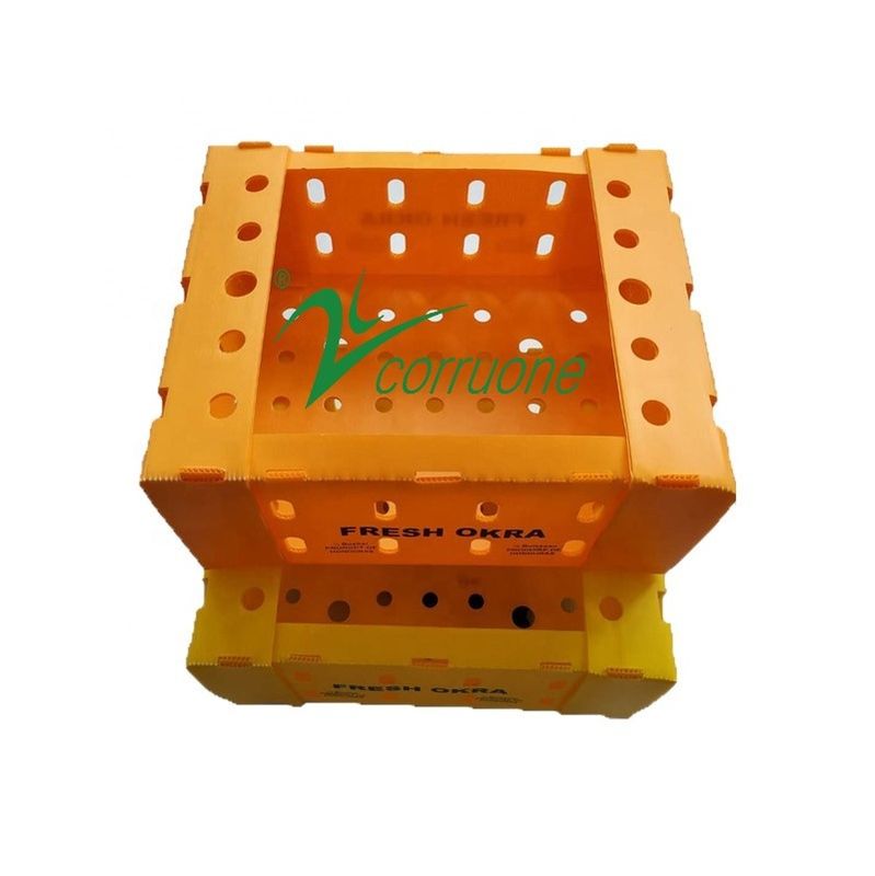 Corruone PP polypropylene danpla plastic box Correx protection board polyflute sheets corrugated plastic packaging boxes