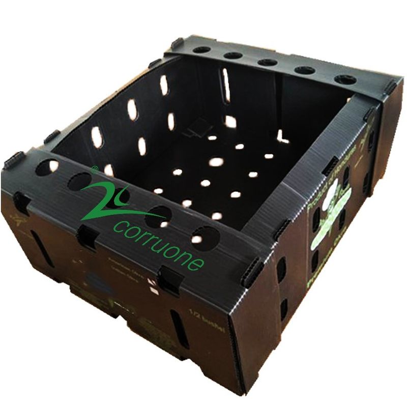 Corruone PP polypropylene danpla plastic box Correx protection board polyflute sheets corrugated plastic packaging boxes