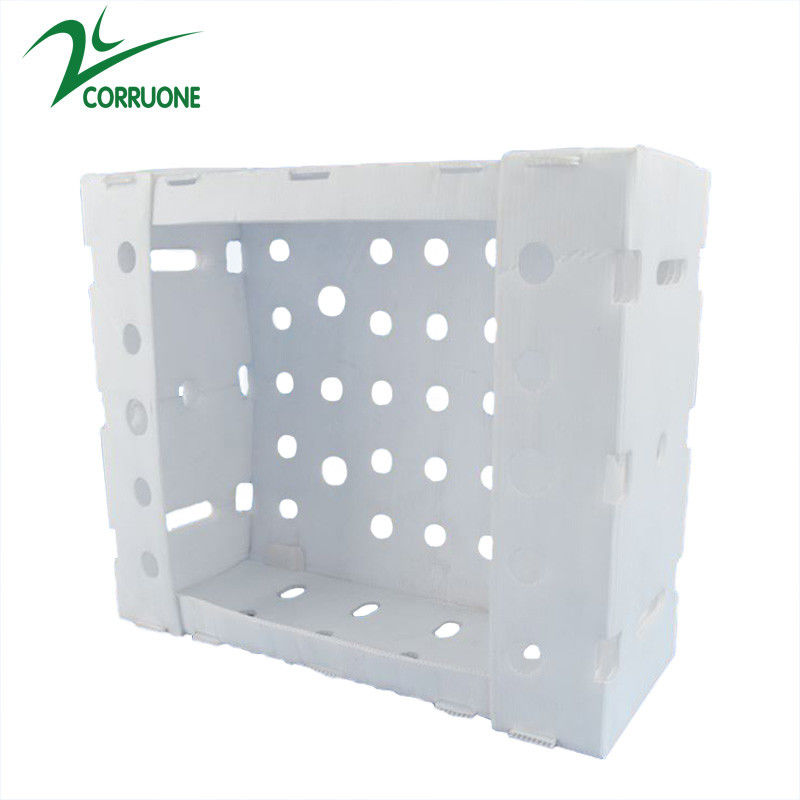 Corflute PP Seafood Delivery Box Blue Coroplast Storage Boxes