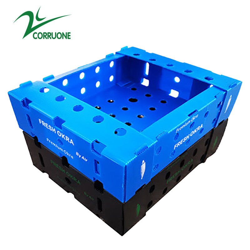 Corflute PP Seafood Delivery Box Blue Coroplast Storage Boxes