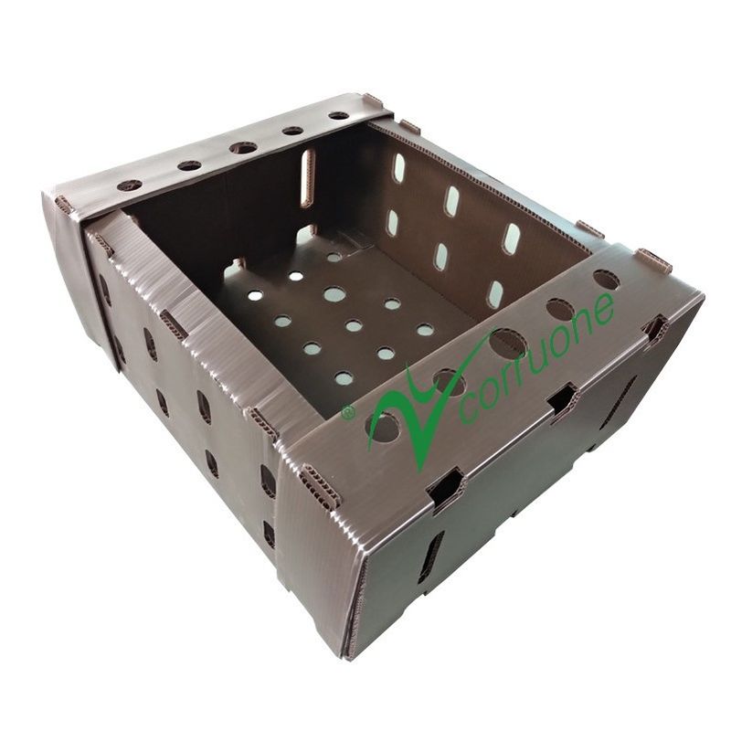 Corflute PP Seafood Delivery Box Blue Coroplast Storage Boxes