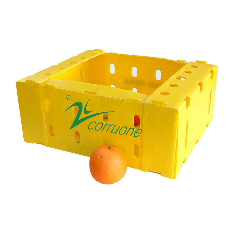Corflute PP Seafood Delivery Box Blue Coroplast Storage Boxes