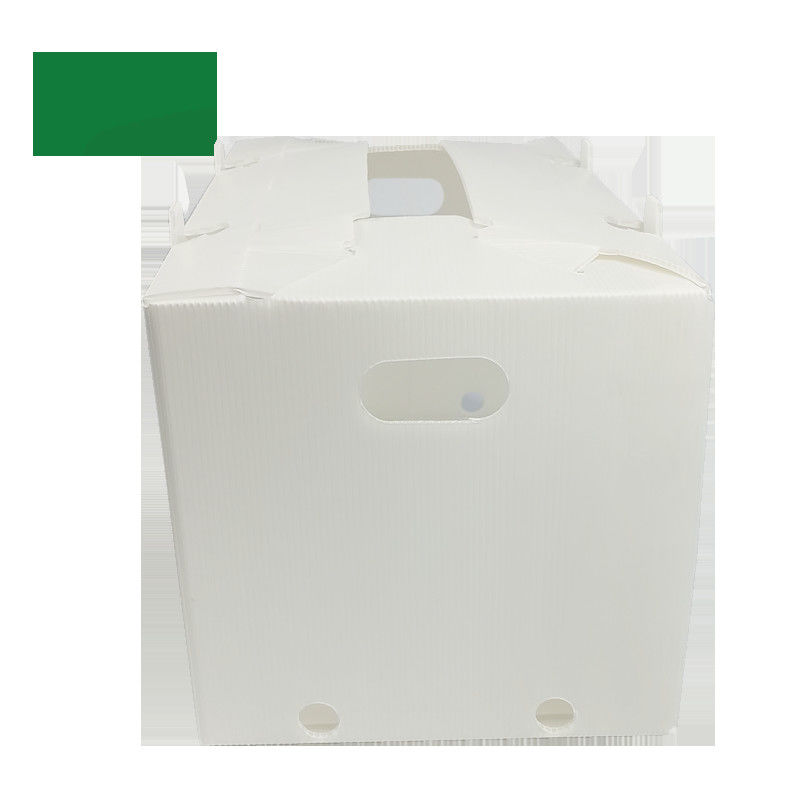 Sweet Corn Fruit Corrugated Boxes Banana Correx Packaging Boxes