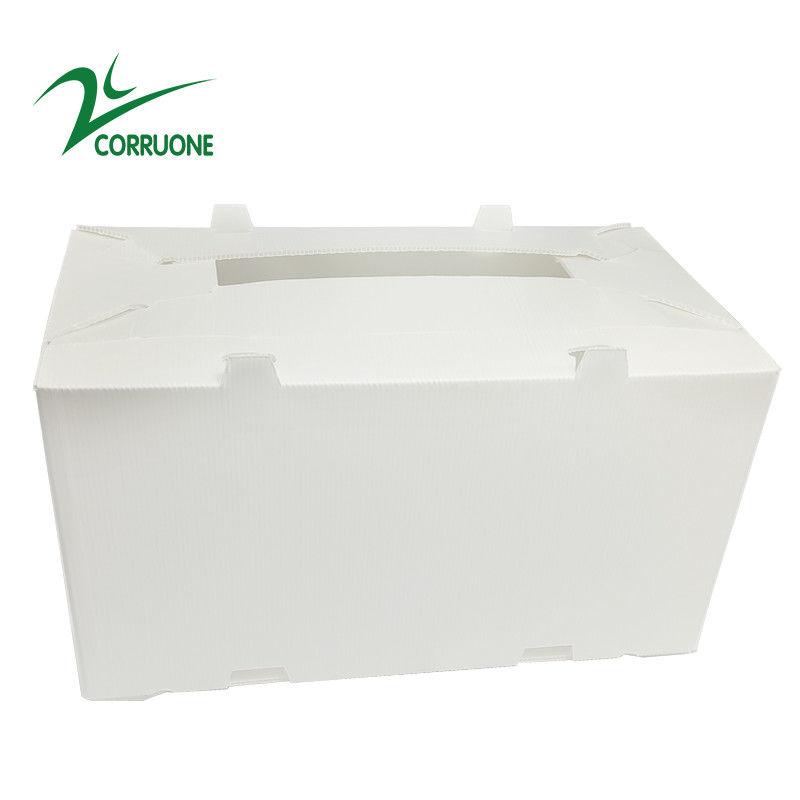 2mm-11mm Hollow Carton Coroplast Correx Collapsible Corrugated Plastic Boxes