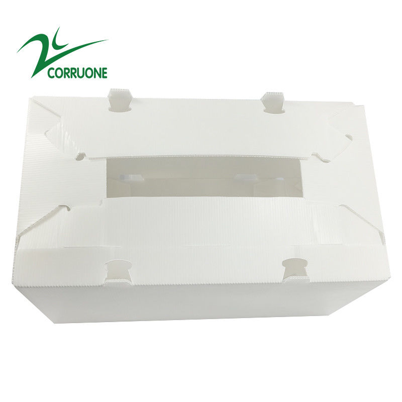 2mm-11mm Hollow Carton Coroplast Correx Collapsible Corrugated Plastic Boxes