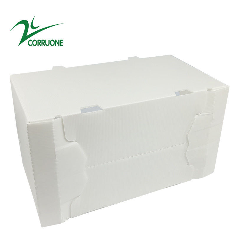 2mm-11mm Hollow Carton Coroplast Correx Collapsible Corrugated Plastic Boxes