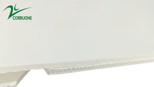2mm-11mm Hollow Carton Coroplast Correx Collapsible Corrugated Plastic Boxes