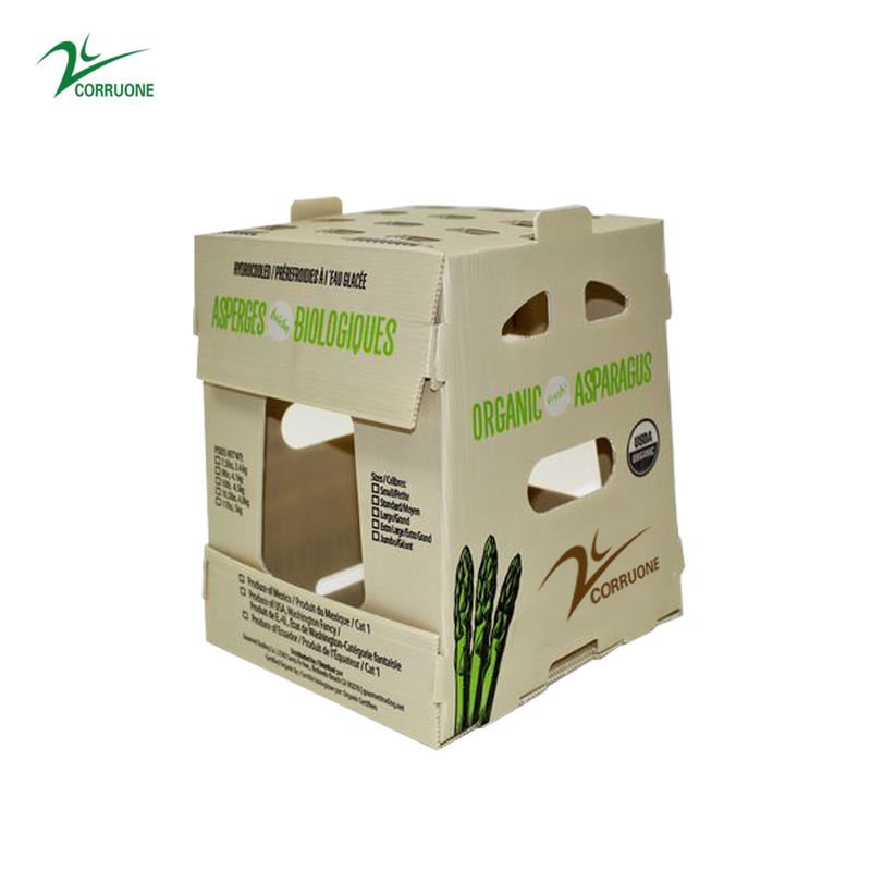 Corruone PP Correx fruit seafood vegetable Cartonplast corrugated plastic Polypropylene boxes