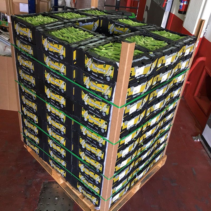 Wholesale Custom Printed Foldable Transparent Plastic Corrugated Square Packaging Display Fruit Boxes With Lids