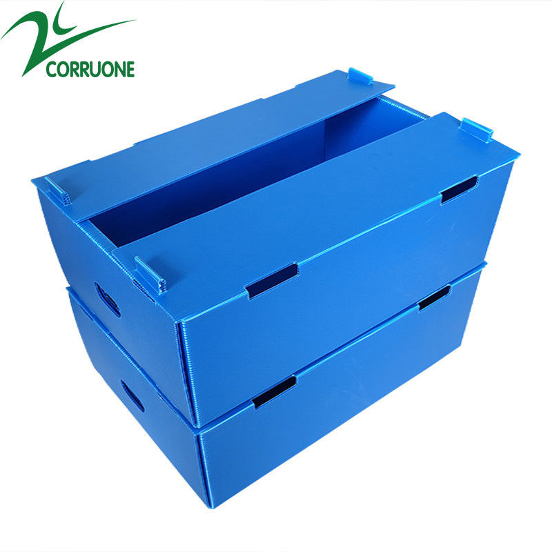 Wholesale Reusable Stackable Pp Corrugated Plastic Packaging Fruit And Vegetable Box