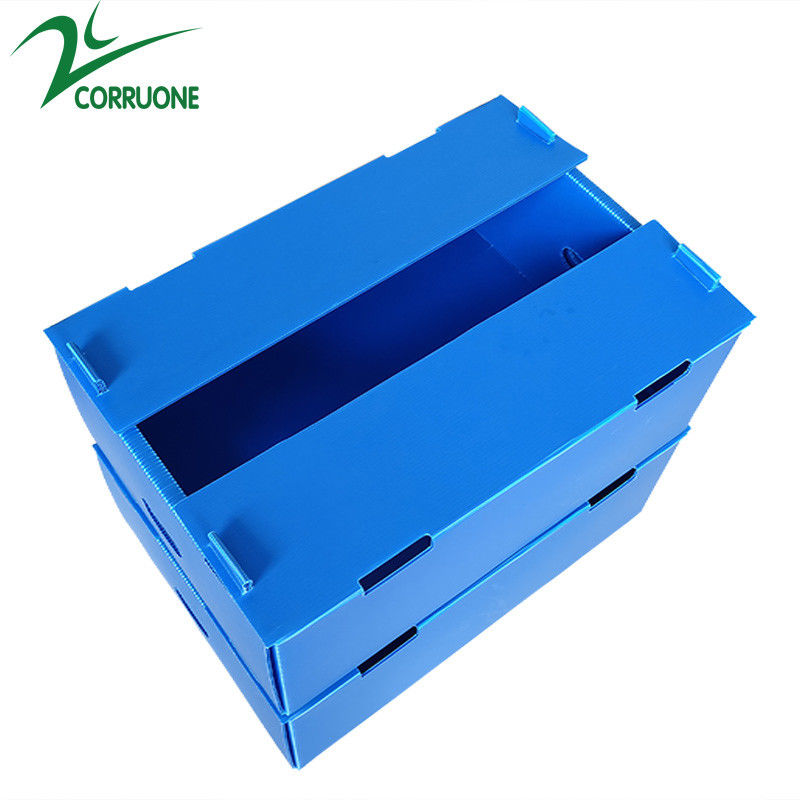 Wholesale Reusable Stackable Pp Corrugated Plastic Packaging Fruit And Vegetable Box