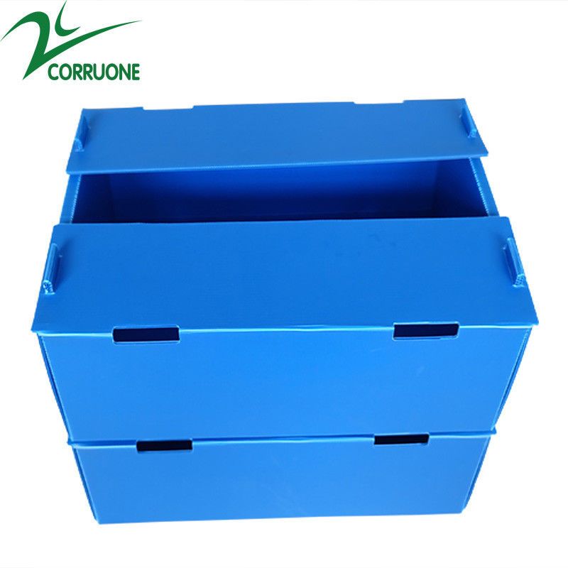 Wholesale Reusable Stackable Pp Corrugated Plastic Packaging Fruit And Vegetable Box