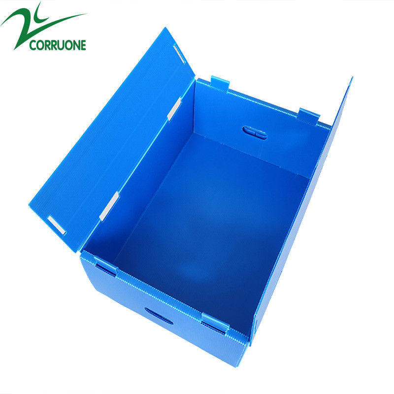 Wholesale Reusable Stackable Pp Corrugated Plastic Packaging Fruit And Vegetable Box