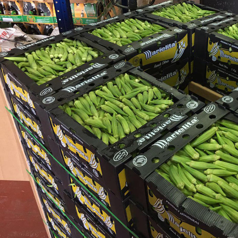 Corflute Okra Fruit Corrugated Boxes PP Corrugated Plastic Case