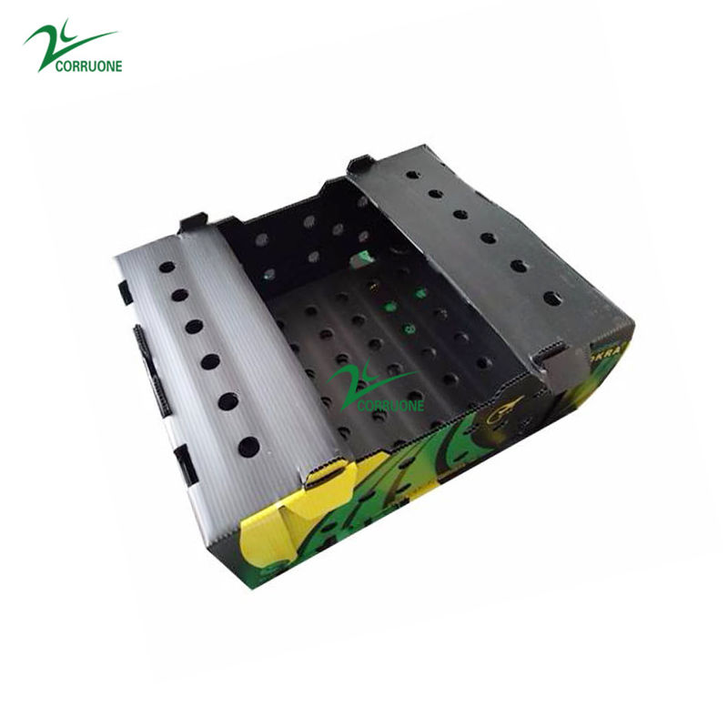 Black Corriflute Fruit Corrugated Boxes Corrugated Plastic Storage Containers