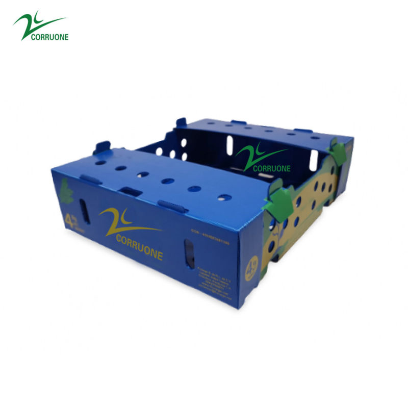 Black Corriflute Fruit Corrugated Boxes Corrugated Plastic Storage Containers