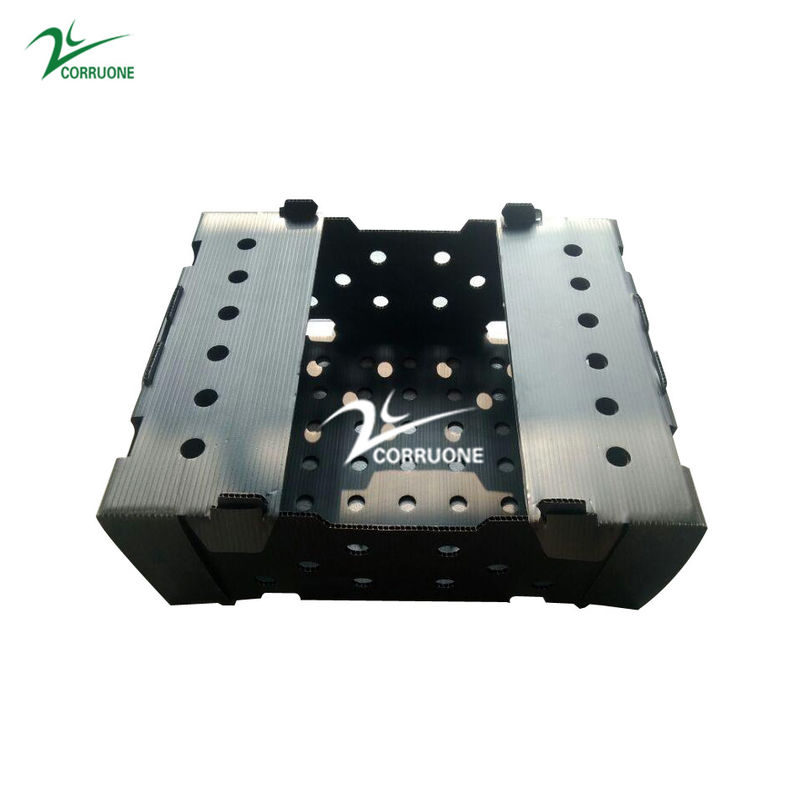 Black Corriflute Fruit Corrugated Boxes Corrugated Plastic Storage Containers