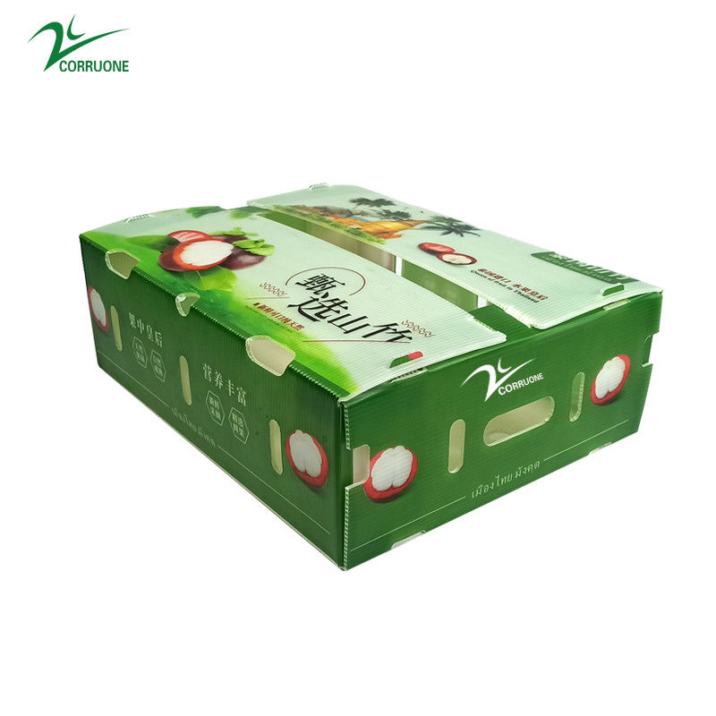 PP Corrugated Plastic BOX for Vegetable and Fruit Box Corflute correx Corn broccoli and Agriculture Packing boxes