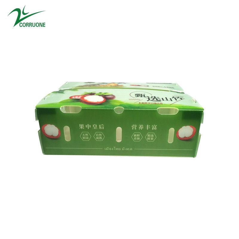 PP Corrugated Plastic BOX for Vegetable and Fruit Box Corflute correx Corn broccoli and Agriculture Packing boxes