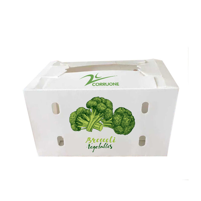 Vegetable Corrugated Boxes for Optimal Storage Protect Your Produce During Shipping