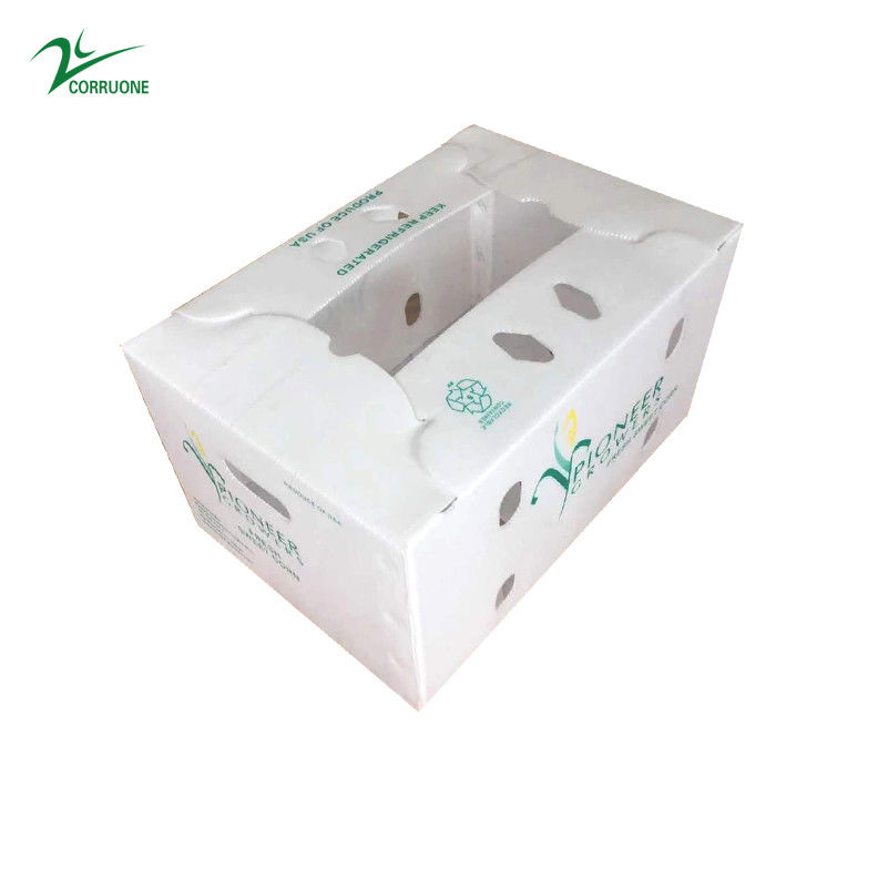 Vegetable Corrugated Boxes for High-Performance Storage Optimal for Transportation