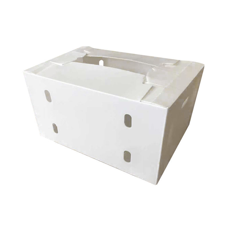 Vegetable Corrugated Boxes for High-Performance Storage Optimal for Transportation