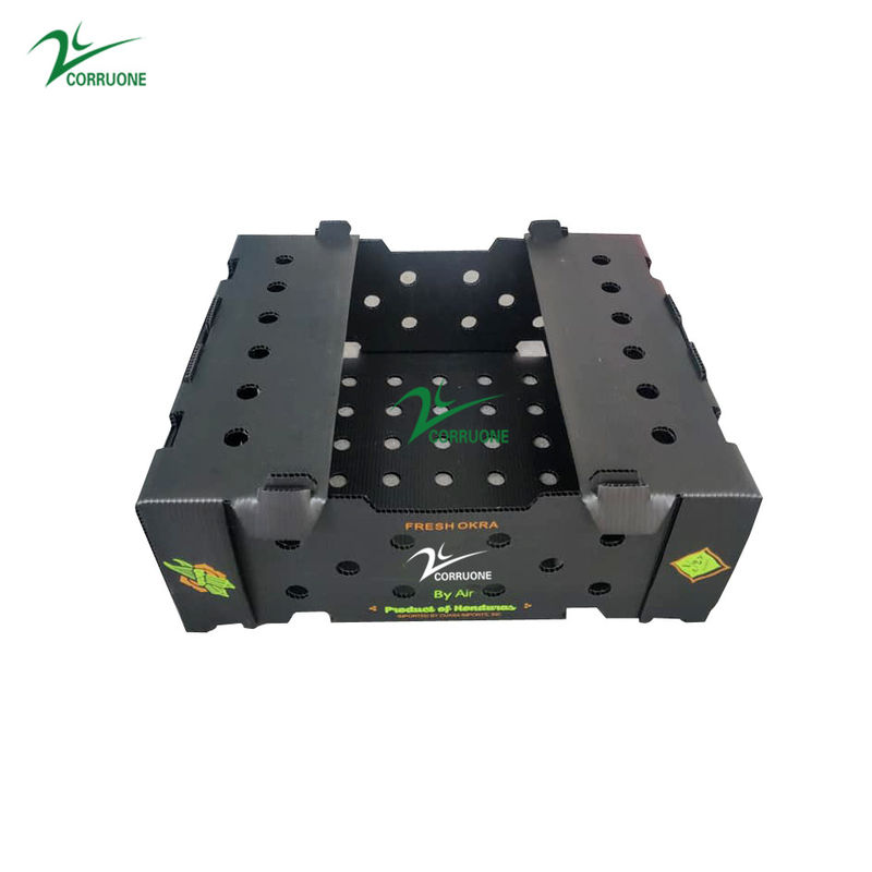 PP Corrugated Plastic Box for Vegetable and Fruit Agriculture Packing box
