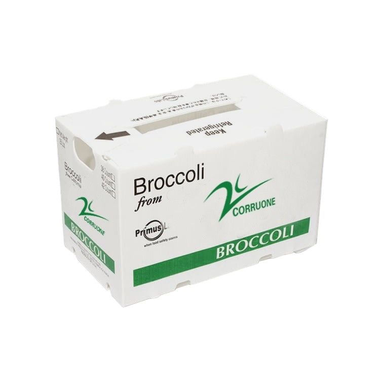 Eco-friendly PP Corrugated Plastic Box for Fruit and Vegetable Storage and Shipping