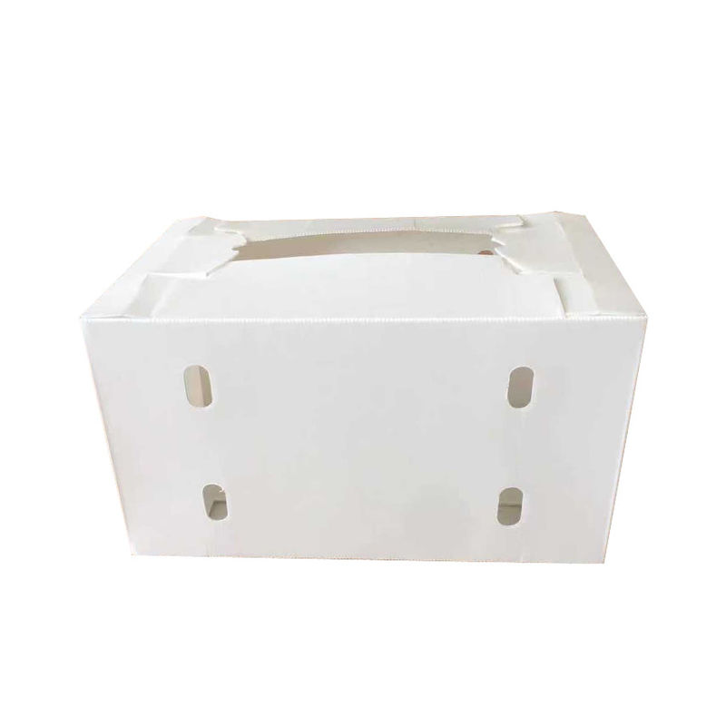 Twin Wall Fruit Corrugated Boxes Coroplast Storage Boxes Blue