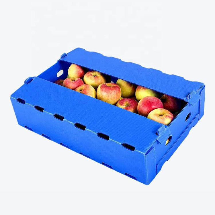 Hot Selling PP Foldable Water-proof Corrugated Plastic Box For Agriculture Packing Box