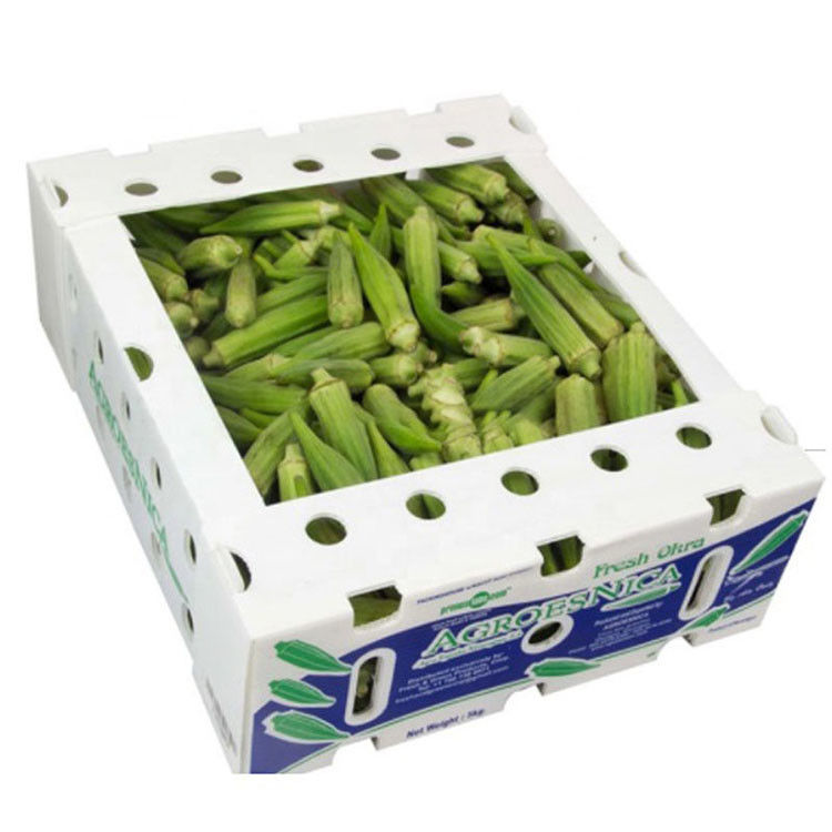 Hot Selling PP Foldable Water-proof Corrugated Plastic Box For Agriculture Packing Box