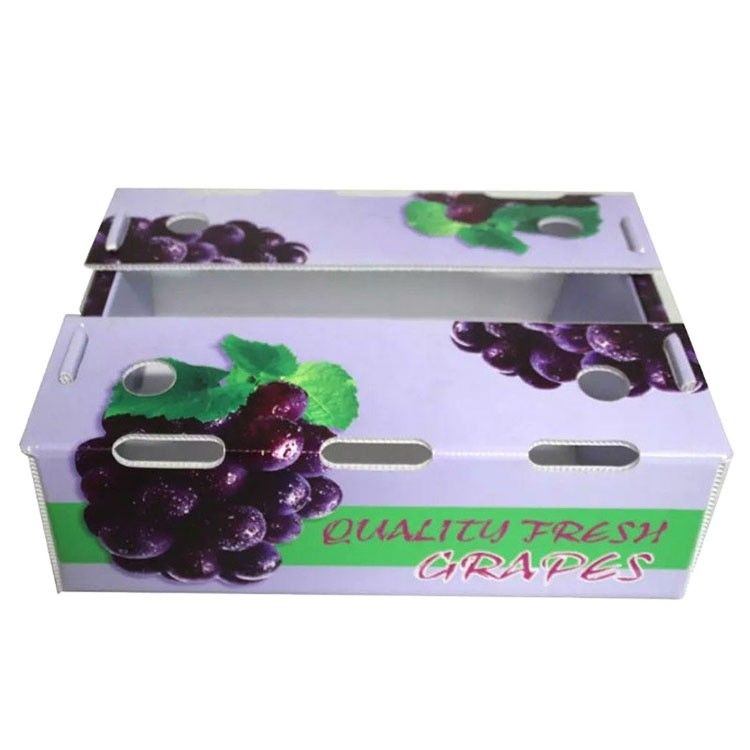 Hot Selling PP Foldable Water-proof Corrugated Plastic Box For Agriculture Packing Box