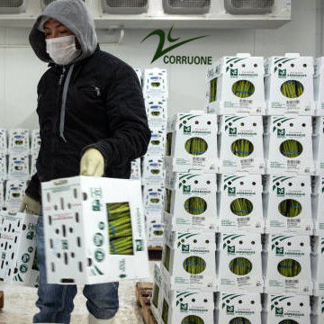 High-Performance Fruit Corrugated Boxes for Optimal Agriculture Industry Packaging