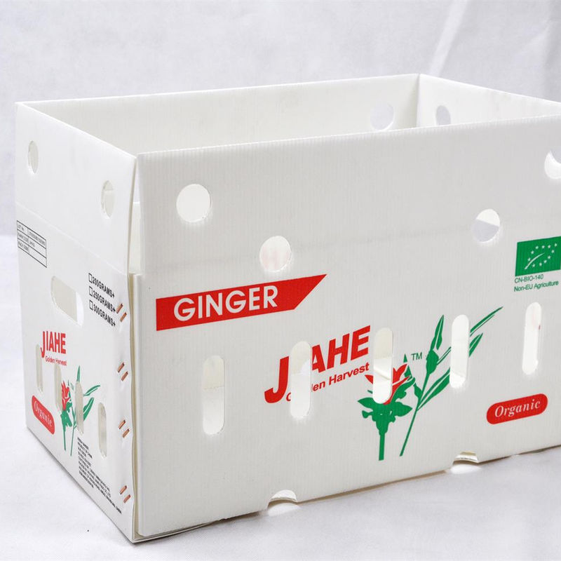 customize Collapsible Colorful PP Plastic Correx Corflute Coroplast Recycle Vegetable Fruit Storage Boxes