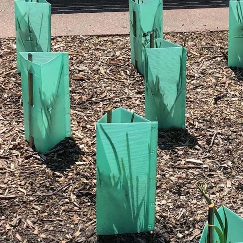 Corruone China Hot Sale Waterproof PP Corrugated Plastic Tree Guards