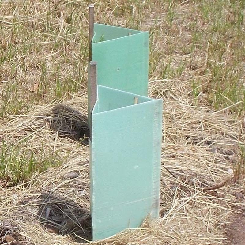 Corruone wholesale high quality PP Plastic corrugated Tree Guard Plastic Tree Protector