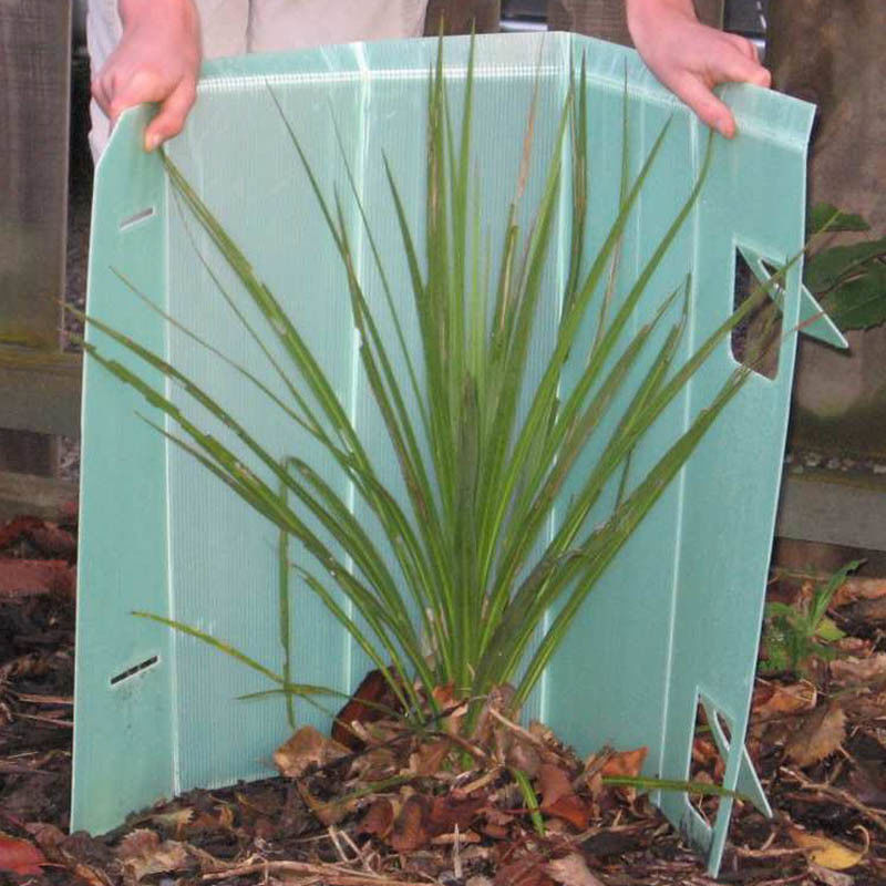 Corruone wholesale high quality PP Plastic corrugated Tree Guard Plastic Tree Protector