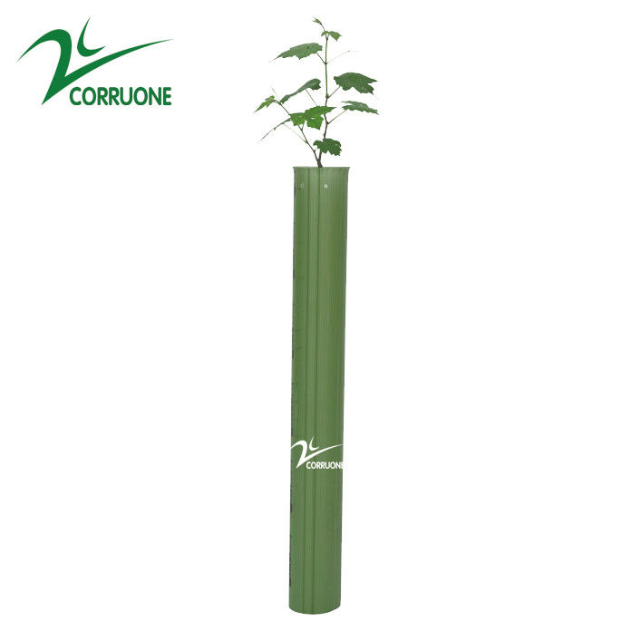 Customized Corrugated Plastic Tree Guard Made of PP Material for Protection