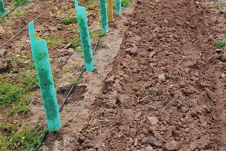 Customized Corrugated Plastic Tree Guard Made of PP Material for Protection