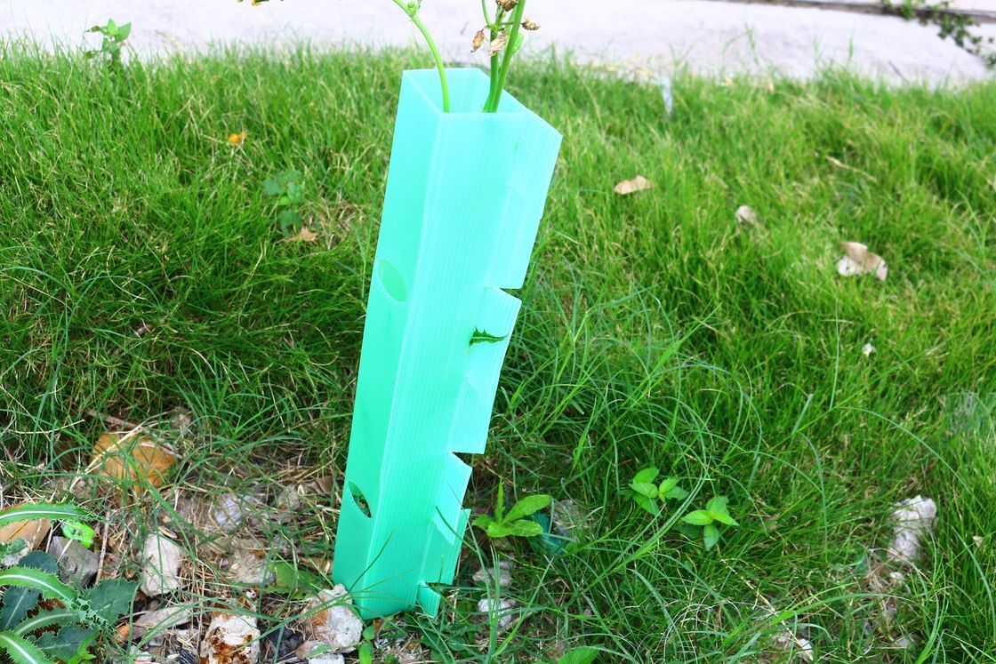 Customized Corrugated Plastic Tree Guard Made of PP Material for Protection