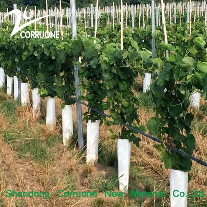 Customizable Green Recyclable Corrugated Plastic Tree Tube for Sustainable Planting