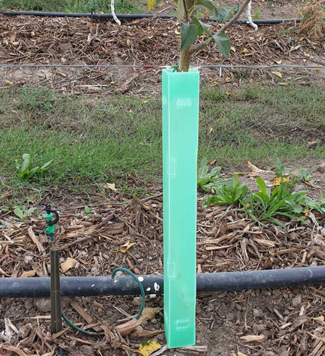 Eco PP Corrugated Plastic Tree Guard Green Corflute Guards Waterproof